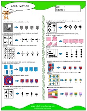 Zeka Gelişim Testleri